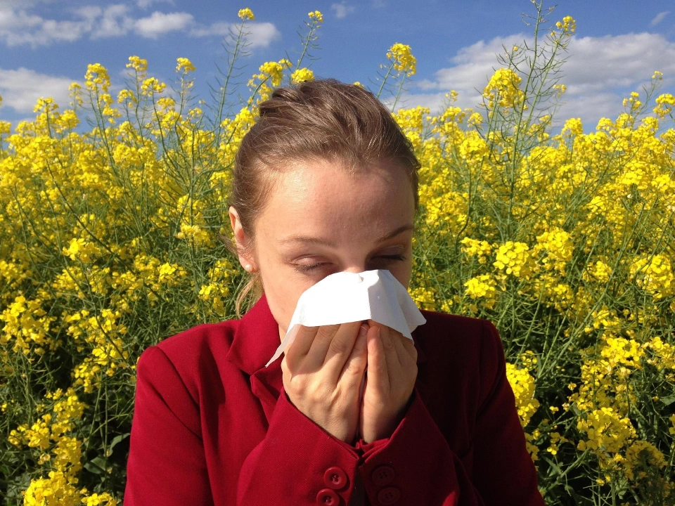 Homéopathie et Allergie au Pollen